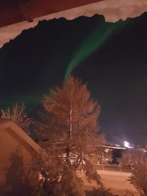 Spacious House In Tromso, Perfect For Groups Of Families, Tourists Or Workers * Tromsø
